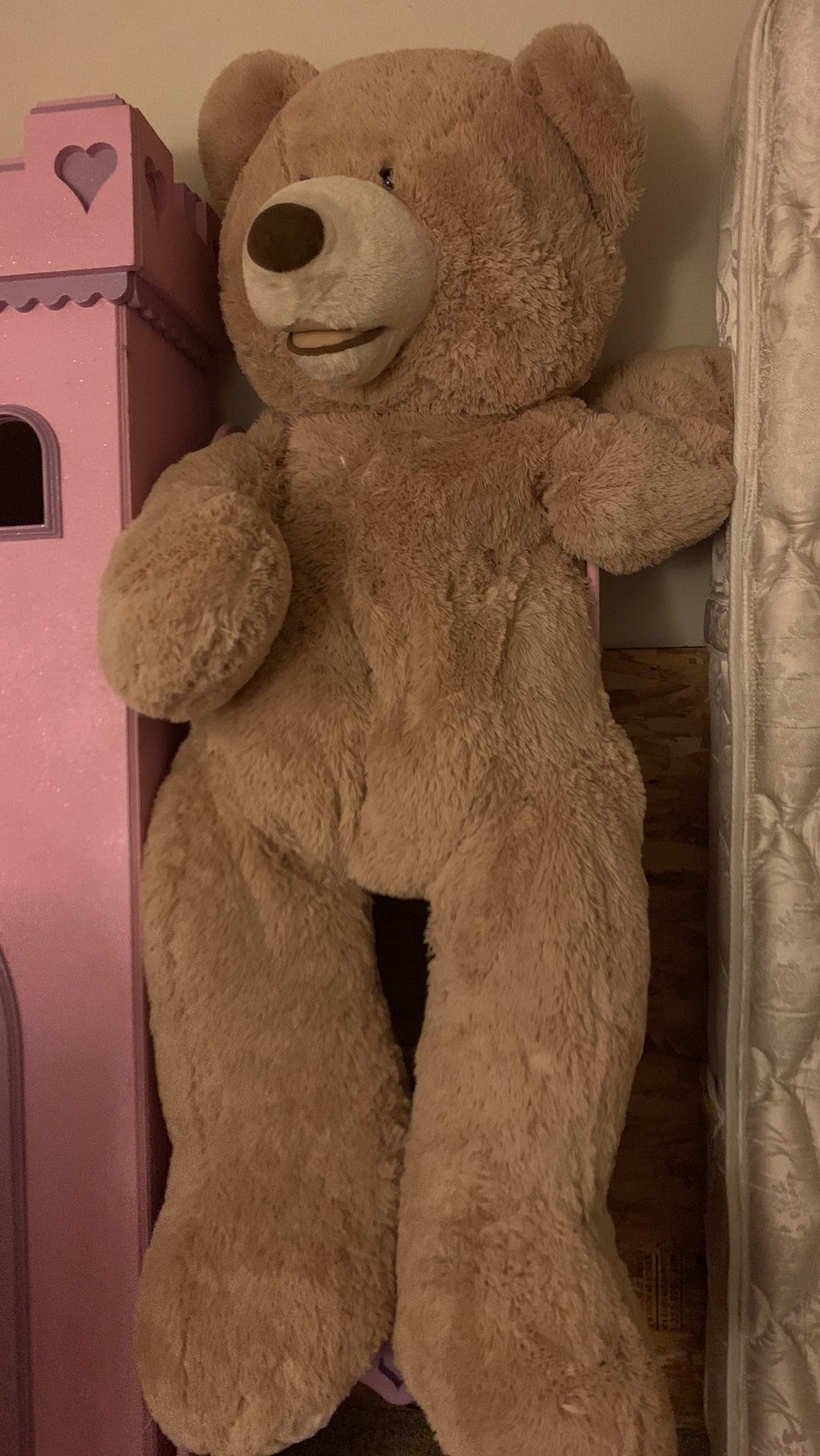 4 ft bear