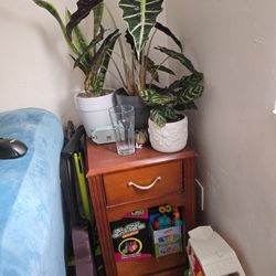 End Table Plant Stand