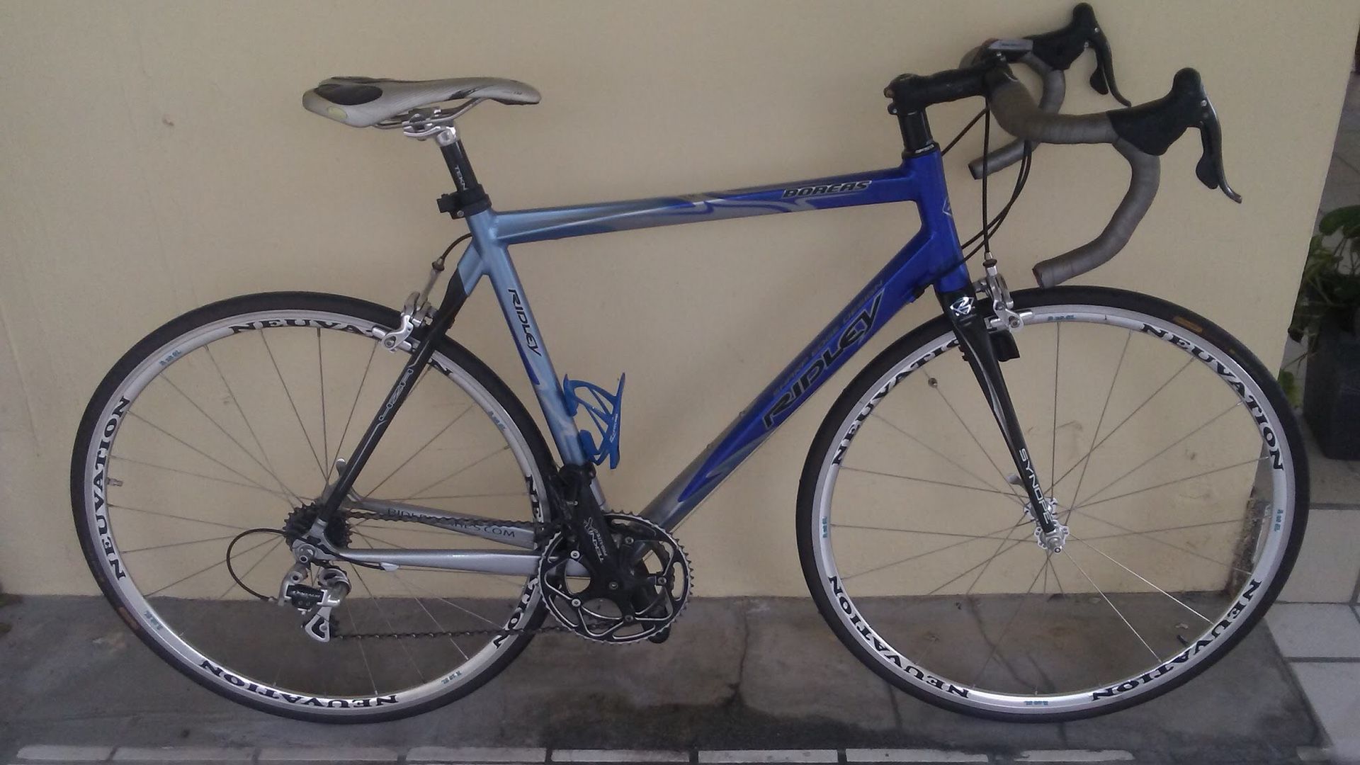 Ridley Boreas w/ Campagnolo