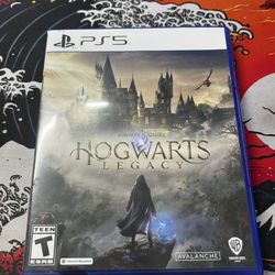 Ps5 Playstation 5 Hogwarts Legacy Physical Disc 