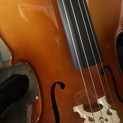 New 1/2 Cello