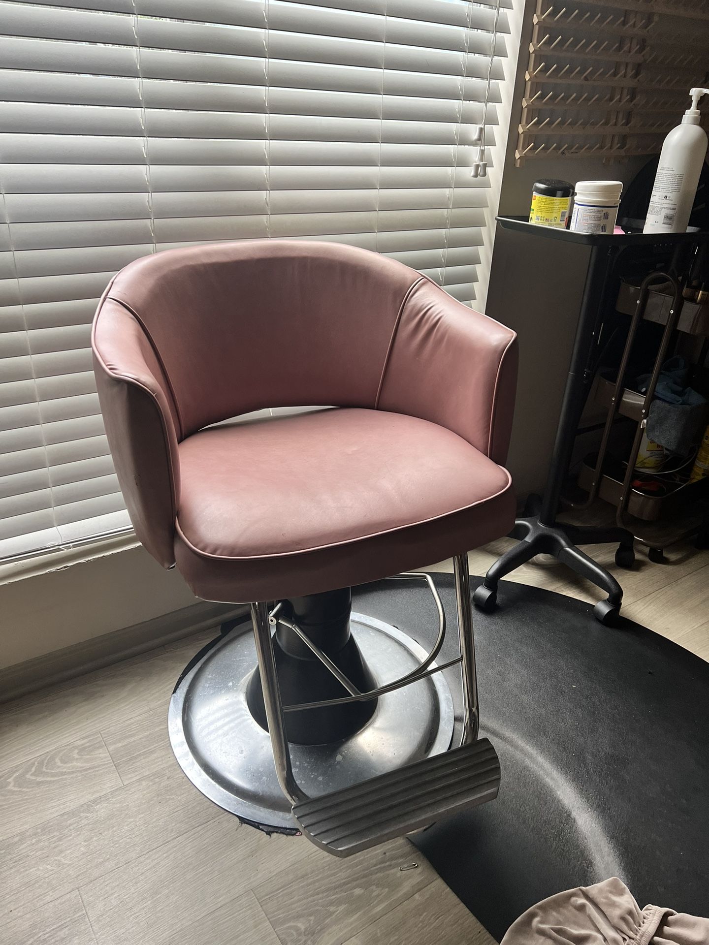 Salon Chair
