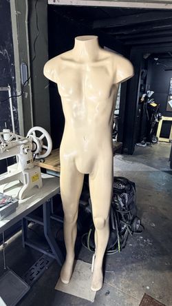 Adult Male Mannequin