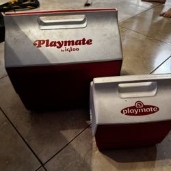 Matching cooler And Lunch Box ! 