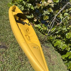 kayak