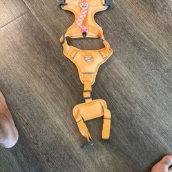 Doggy Harness 