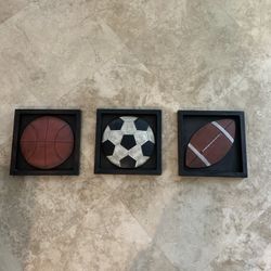 Sports Pictures 14” Metal Frame