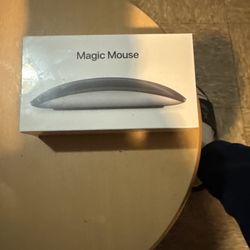 Magic Mouse 