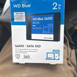 WD Blue 2TB SSD