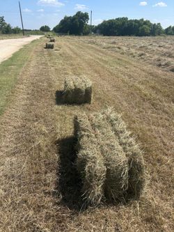 JUST BALES COASTAL SQUARE BALES