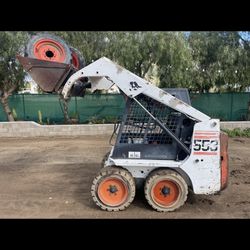 Bobcat