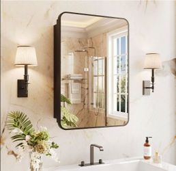 Black Medicine Cabinet Mirror