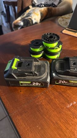 String trimmer battery
