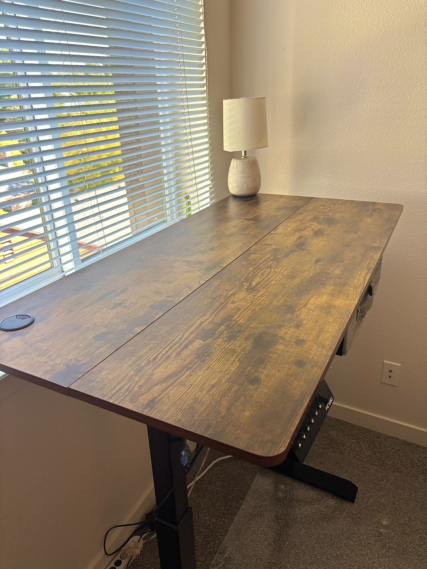 Standing Adjustable Desk 