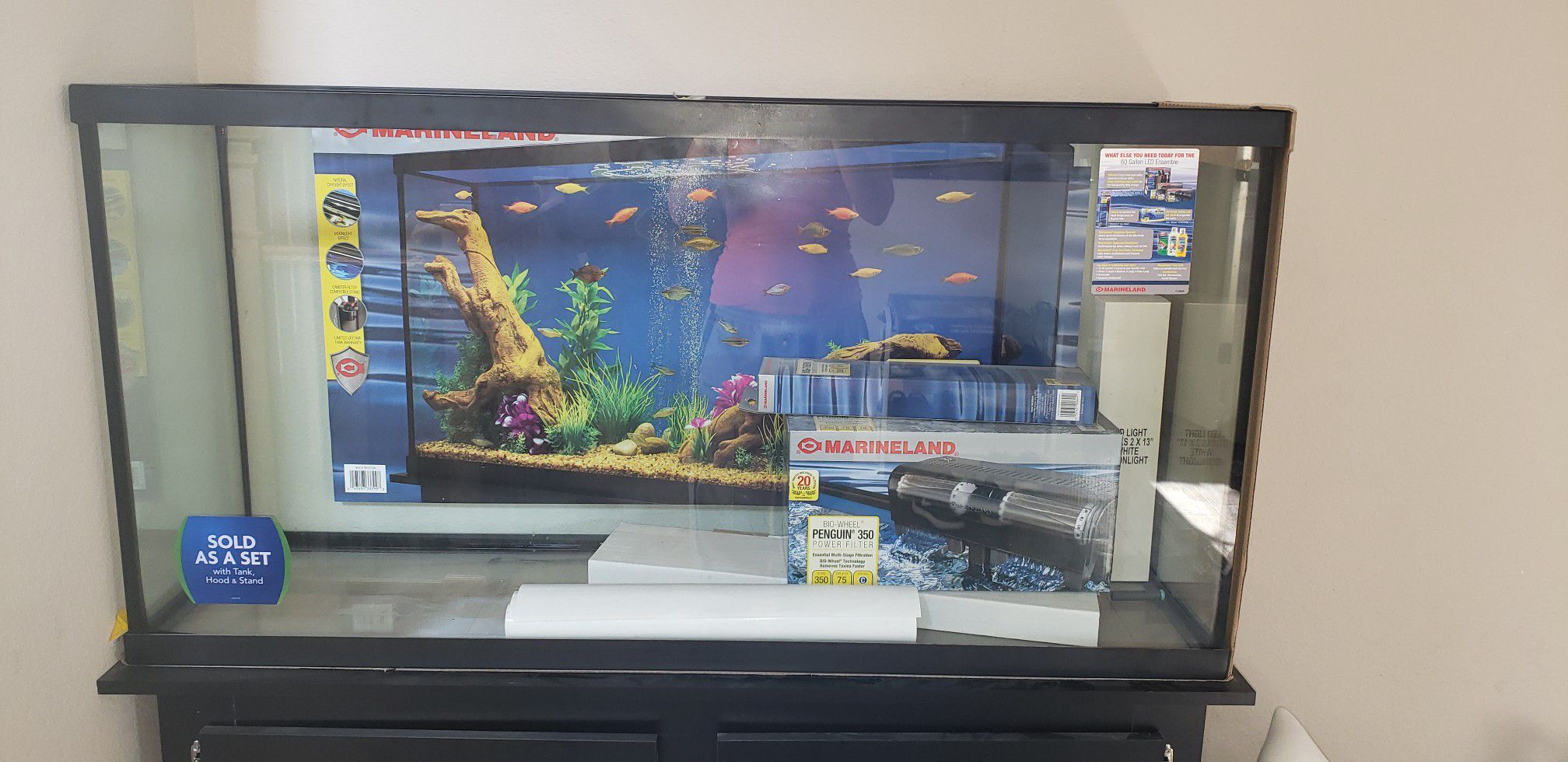 Brand new 60 gallon fish tank with stand