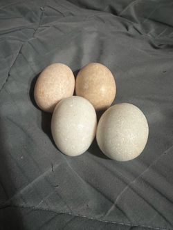 Crystal Spears and Eggs