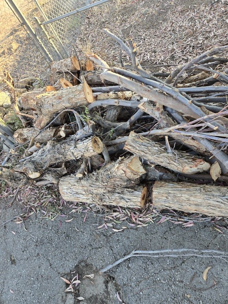 Free Firewood