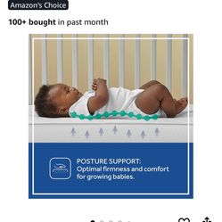 Sealy Baby Butterfly Crib Mattress Plus Toddler Bed Fit