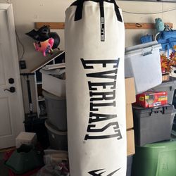 Everlast Punching bag