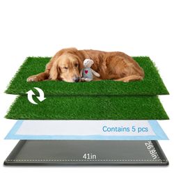 Dog Grass Pad With Tray