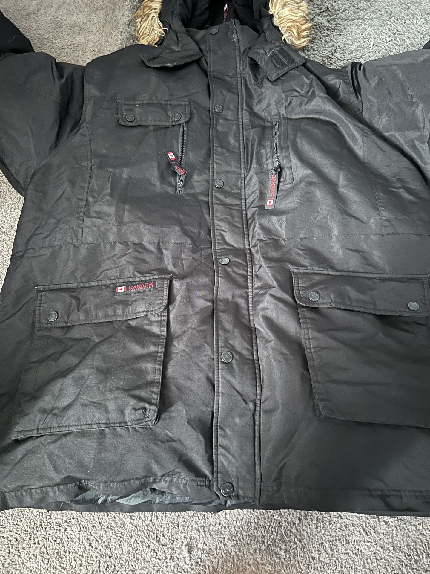 Canada Goose