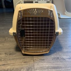 Kennel