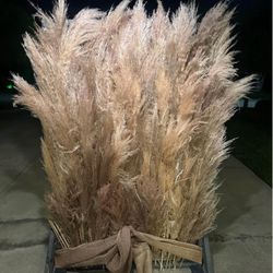 One-Of- A-Kind Handcrafted Pampas Backdrop