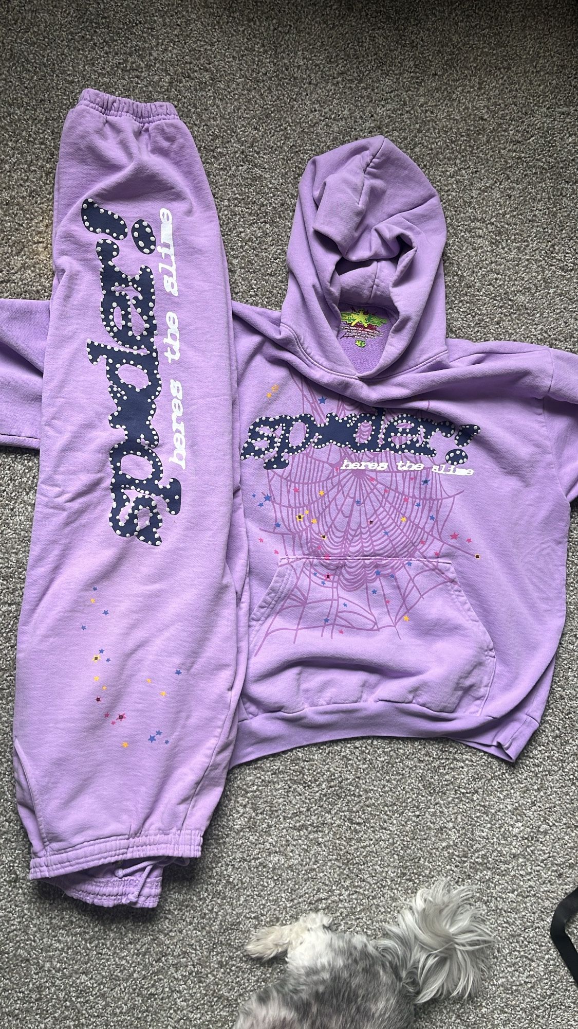 Authentic Spider hoodie And Pants 