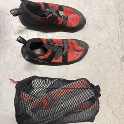 Climbing Harness L and shoes 12M