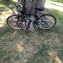 28” Hybrid Jamis Bike (24 Speeds)