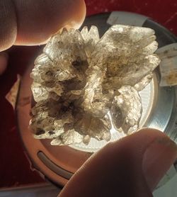 Gems And Fossil Collection 