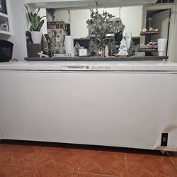 Oversized Deep Freezer