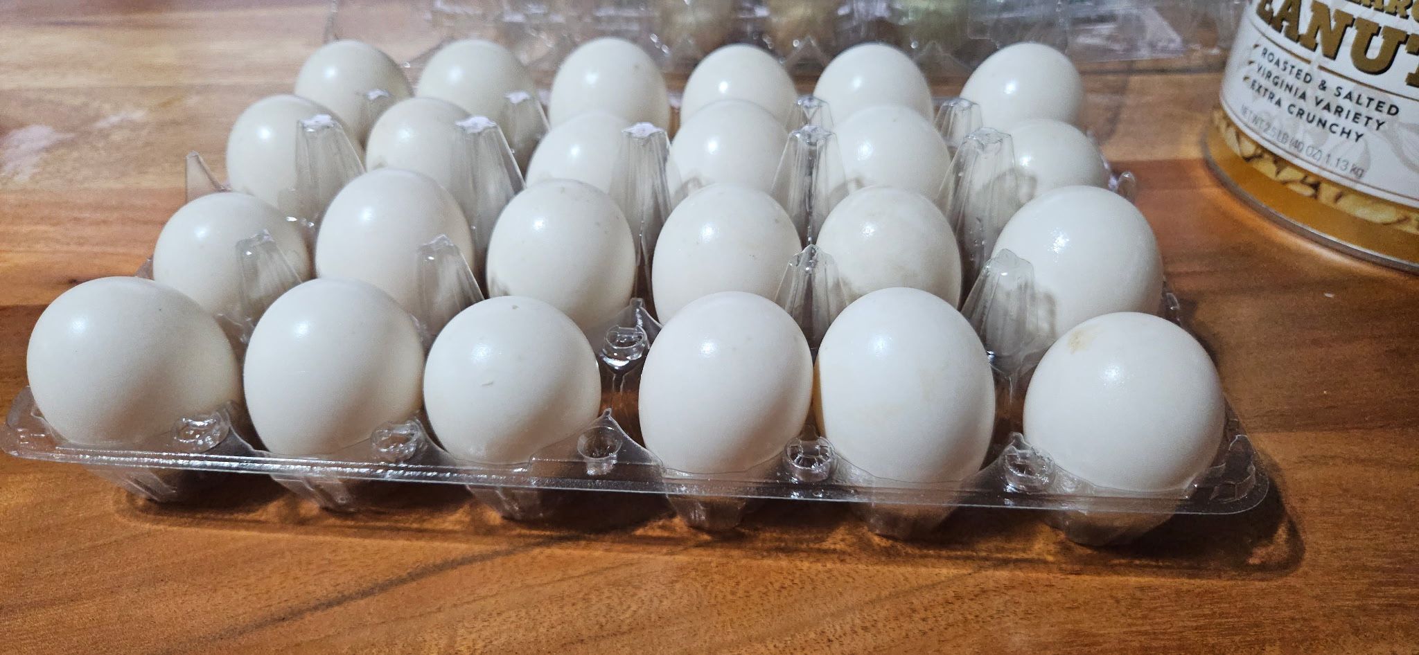 Organic grown duck eggs