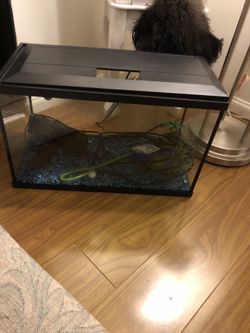 5 gallon fish tank