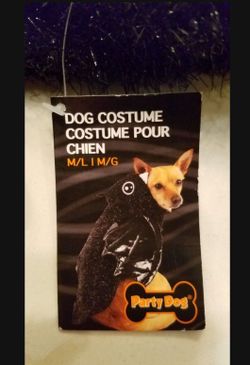 Pet Costume