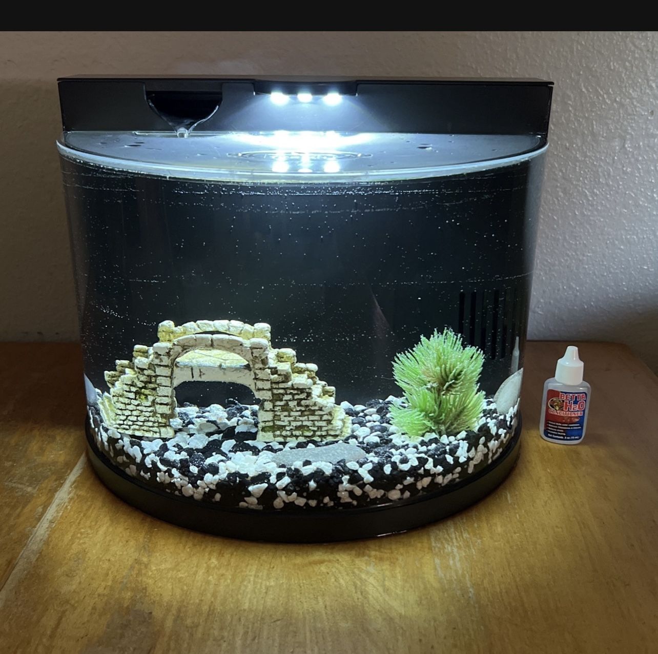 Betta Fish Tank
