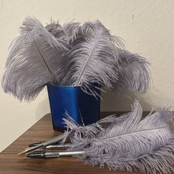 Feather Ballpoint Pens with Caps and Vase (set of 12)