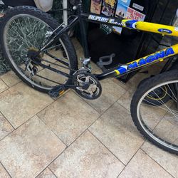 Bike 24”