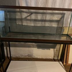Fish Tanks