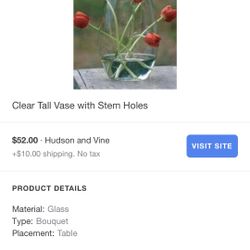 Clear Tall Vase With Holes