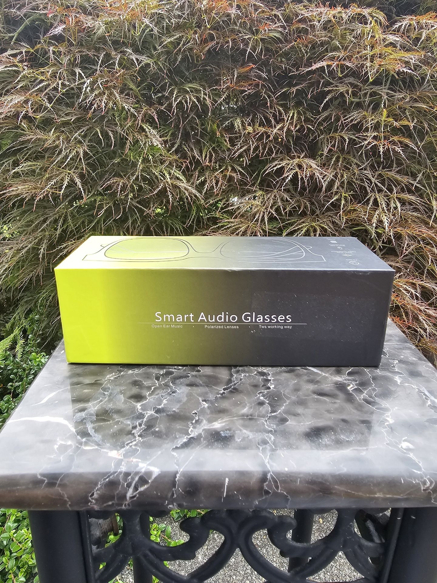 Smart Audio Glasses