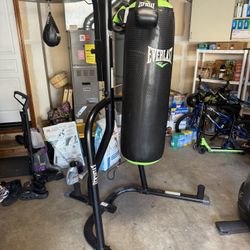 Everlast punching bag stand with speed bag