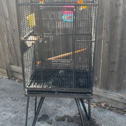 BIRD CAGE .