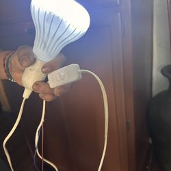 Light With  Speaker