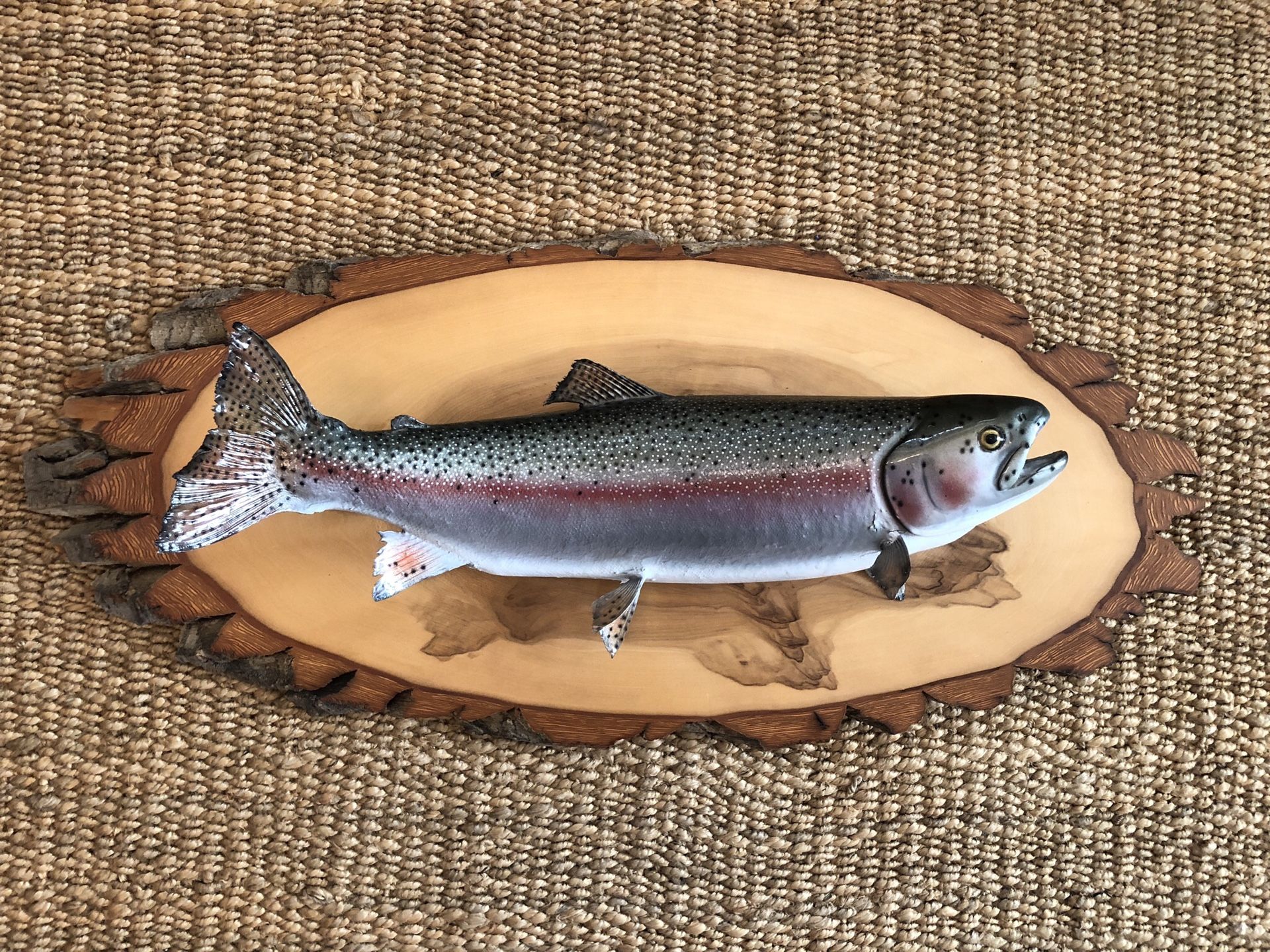 Large Rainbow Trout TAXIDERMY Fish Mount EXCELLENT