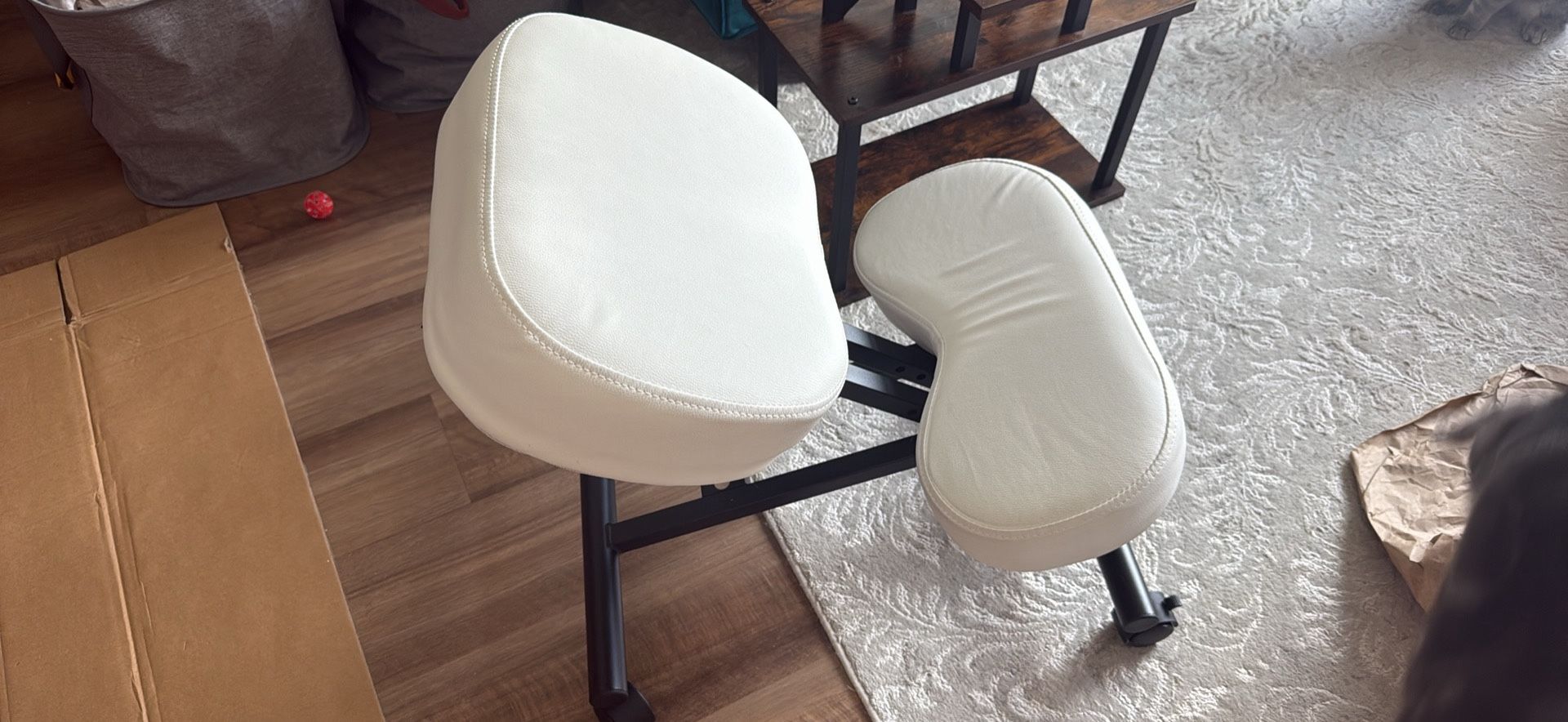 Ergonomic Desk Chair