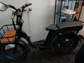 Rad Power Bikes Electric Cargo Bike