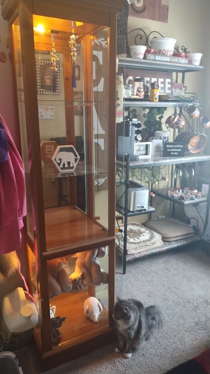 Display Cabinet With Lights