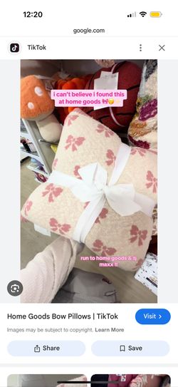 Viral TJMaxx HomeGoods Coquette Bow Pillows