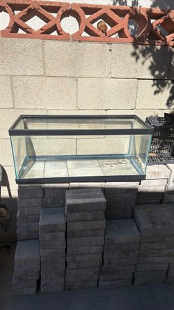 Fish tank